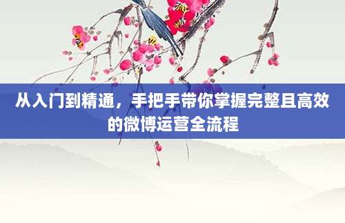 从入门到精通,手把手带你掌握完整且高效的微博运营全流程