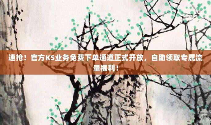 速抢!官方KS业务免费下单通道正式开放,自助领取专属流量福利!