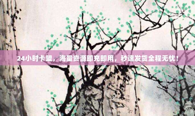 24小时卡盟,海量资源即充即用,秒速发货全程无忧!